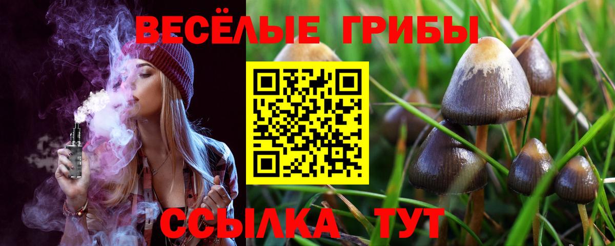 Псилоцибиновые грибы Psilocybine cubensis Коммунар