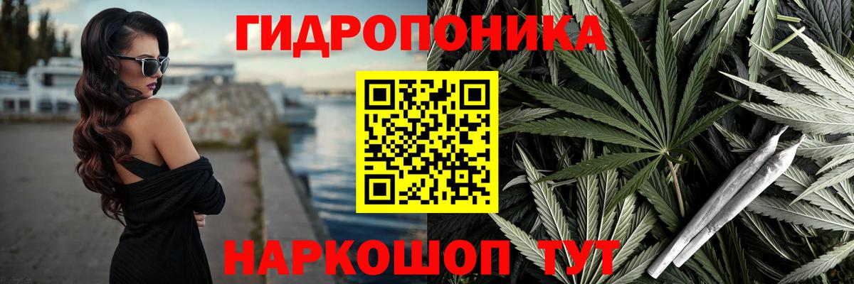 МАРИХУАНА планчик  Вход с VPN  Шишки марихуана план  Канабис индика  Коммунар 
