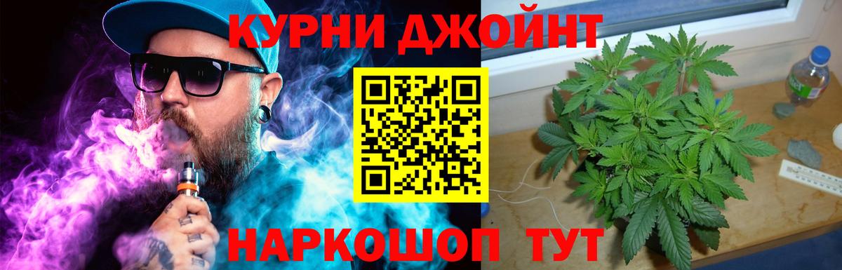 МАРИХУАНА сатива Коммунар